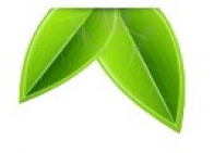 gallery/rotated_logo_ecomania