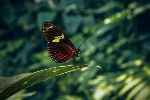 gallery/ad5ea66c99758d7918e786126a0d34bd